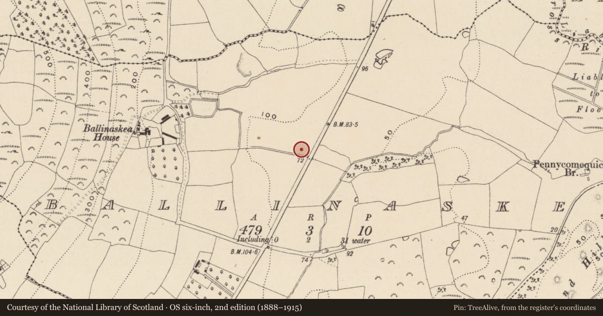 Ordnance Survey six-inch map, 2nd edition (1888–1915) covering the location of Burnt mound, Ballinaskea, County Wicklow, with a pin at the register's coordinates
