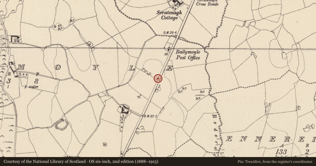 Ordnance Survey six-inch map, 2nd edition (1888–1915) covering the location of House - Bronze Age, Ballymoyle, County Wicklow, with a pin at the register's coordinates