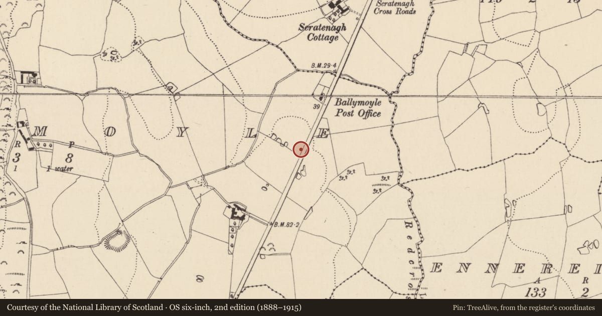Ordnance Survey six-inch map, 2nd edition (1888–1915) covering the location of House - Bronze Age, Ballymoyle, County Wicklow, with a pin at the register's coordinates