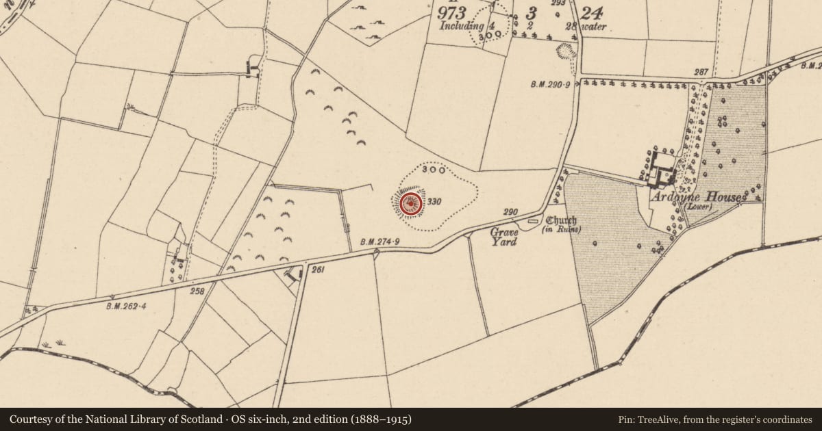 Ordnance Survey six-inch map, 2nd edition (1888–1915) covering the location of Castle - motte and bailey, Ardoyne, County Wicklow, with a pin at the register's coordinates