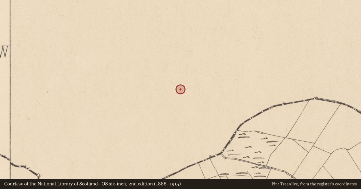 Ordnance Survey six-inch map, 2nd edition (1888–1915) covering the location of Church, Ardoyne, County Wicklow, with a pin at the register's coordinates