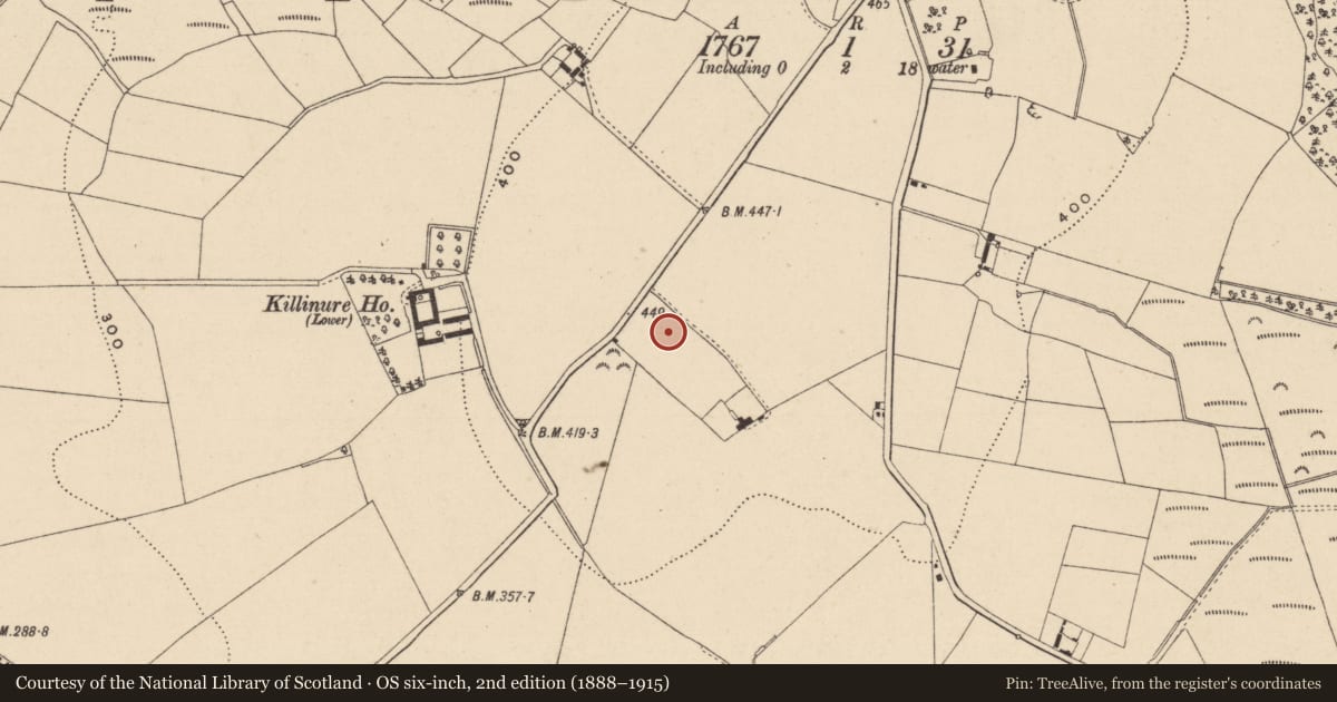 Ordnance Survey six-inch map, 2nd edition (1888–1915) covering the location of Burial ground, Killinure, County Wicklow, with a pin at the register's coordinates