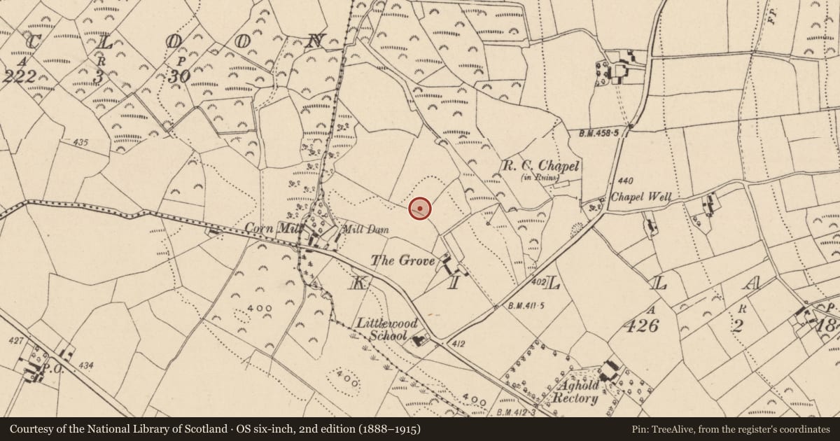 Ordnance Survey six-inch map, 2nd edition (1888–1915) covering the location of Pit-burial, Killabeg, County Wicklow, with a pin at the register's coordinates