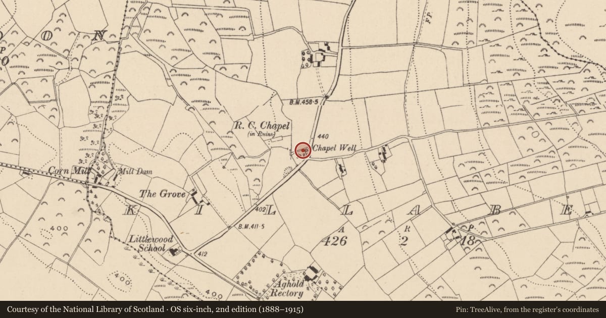 Ordnance Survey six-inch map, 2nd edition (1888–1915) covering the location of Ritual site - holy well, Killabeg, County Wicklow, with a pin at the register's coordinates