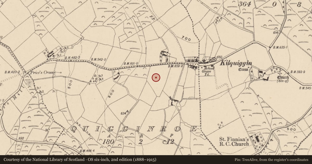 Ordnance Survey six-inch map, 2nd edition (1888–1915) covering the location of Enclosure, Quigginroe, County Wicklow, with a pin at the register's coordinates