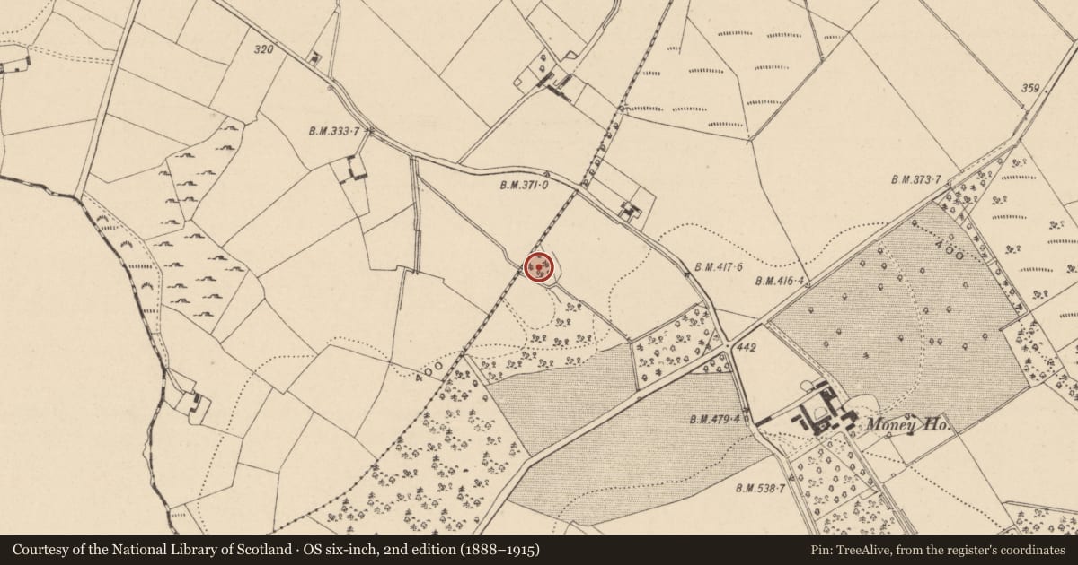 Ordnance Survey six-inch map, 2nd edition (1888–1915) covering the location of Enclosure, Money Lower, Money Upper, County Wicklow, with a pin at the register's coordinates