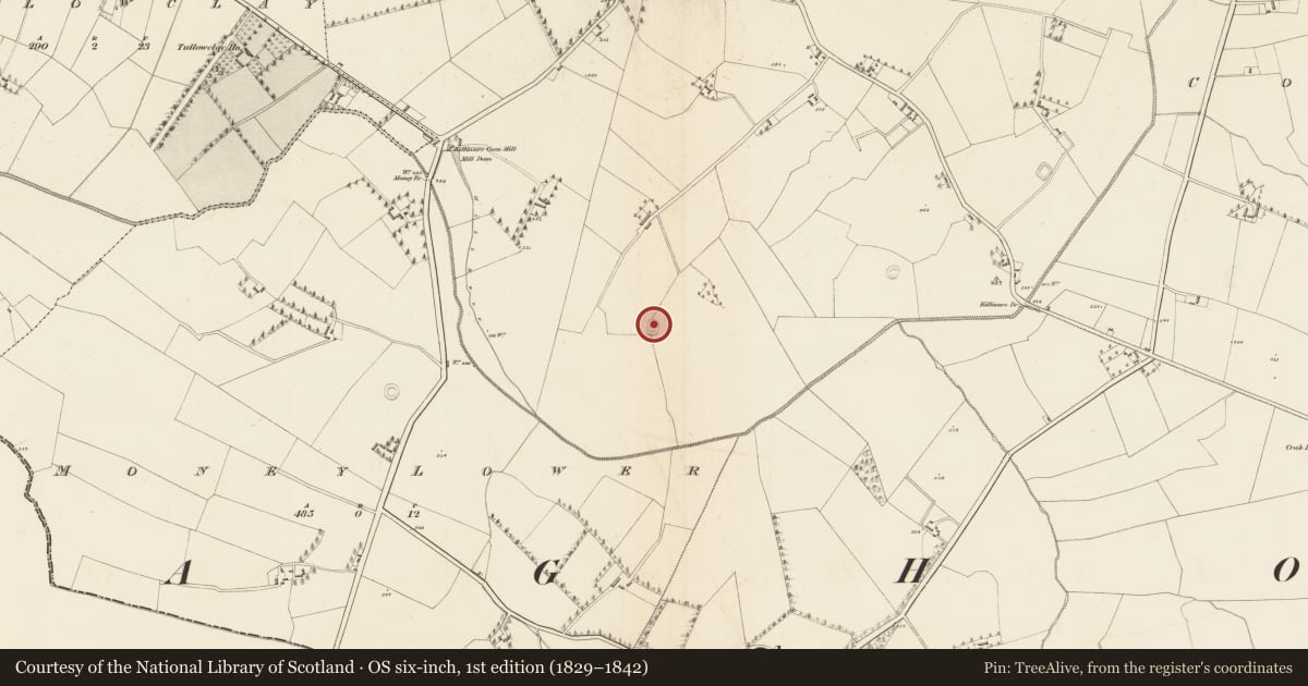 Ordnance Survey six-inch map, 1st edition (1829–1842) covering the location of Ringfort - rath, Killinure, County Wicklow, with a pin at the register's coordinates