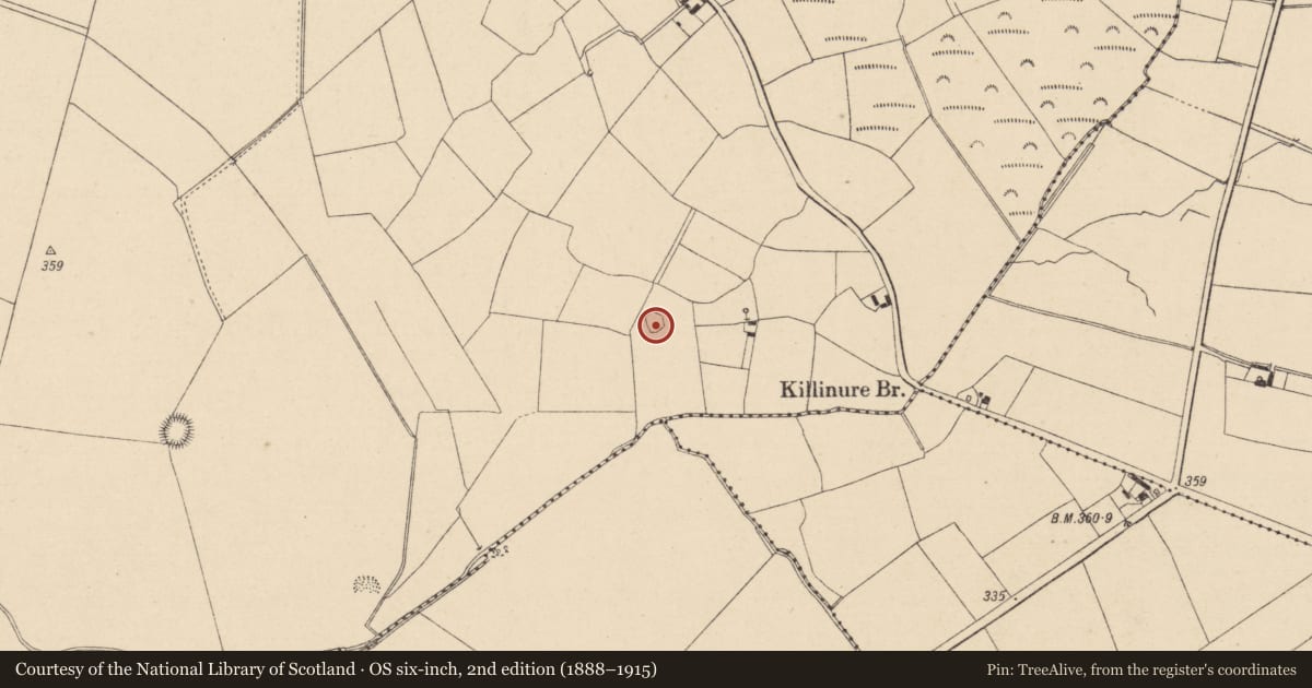Ordnance Survey six-inch map, 2nd edition (1888–1915) covering the location of Enclosure, Killinure, County Wicklow, with a pin at the register's coordinates