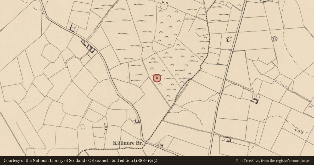 Ordnance Survey six-inch map, 2nd edition (1888–1915) covering the location of Enclosure, Killinure, County Wicklow, with a pin at the register's coordinates