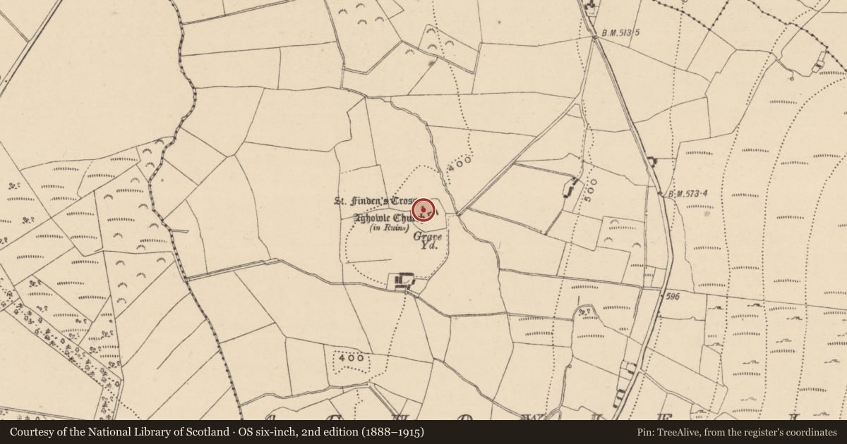 Ordnance Survey six-inch map, 2nd edition (1888–1915) covering the location of Cross - High cross, Aghowle Lower, County Wicklow, with a pin at the register's coordinates