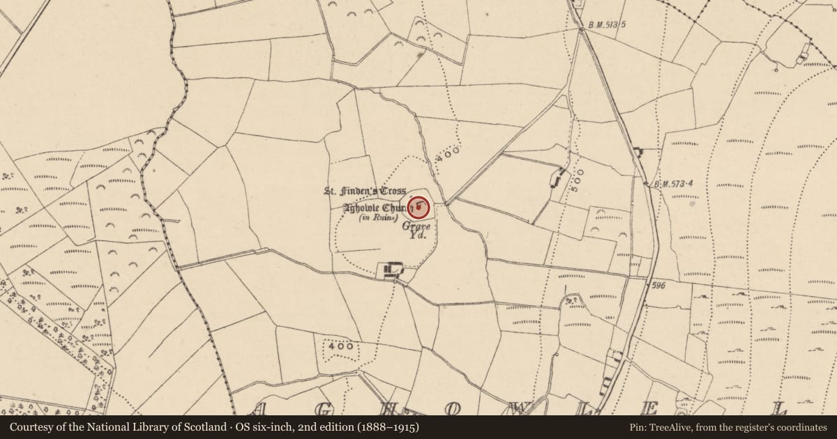 Ordnance Survey six-inch map, 2nd edition (1888–1915) covering the location of Graveyard, Aghowle Lower, County Wicklow, with a pin at the register's coordinates