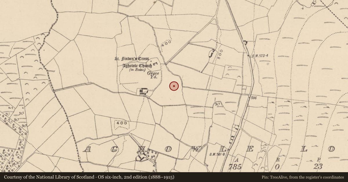 Ordnance Survey six-inch map, 2nd edition (1888–1915) covering the location of Bullaun stone, Aghowle Lower, County Wicklow, with a pin at the register's coordinates
