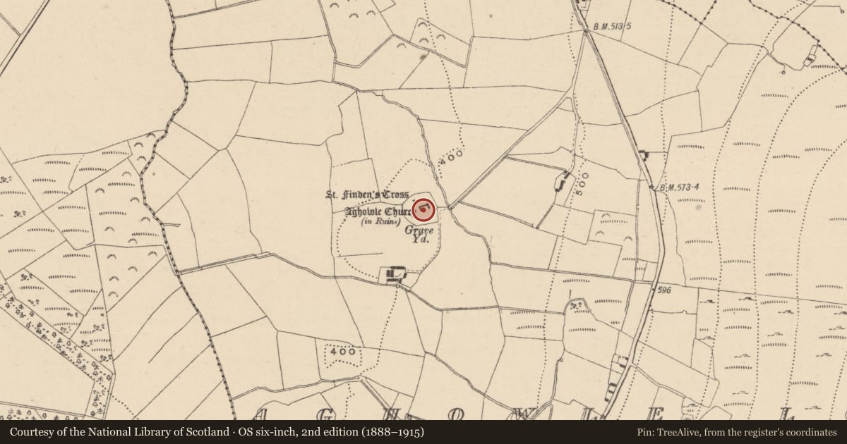 Ordnance Survey six-inch map, 2nd edition (1888–1915) covering the location of Font, Aghowle Lower, County Wicklow, with a pin at the register's coordinates