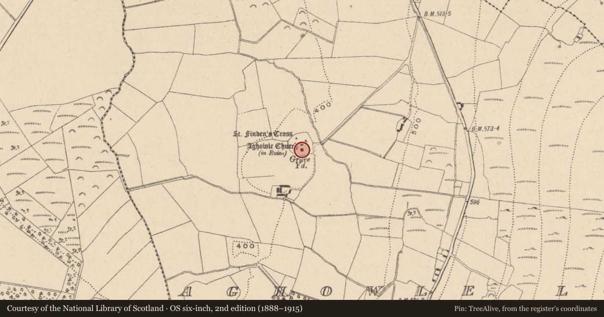 Ordnance Survey six-inch map, 2nd edition (1888–1915) covering the location of Cross-slab, Aghowle Lower, County Wicklow, with a pin at the register's coordinates