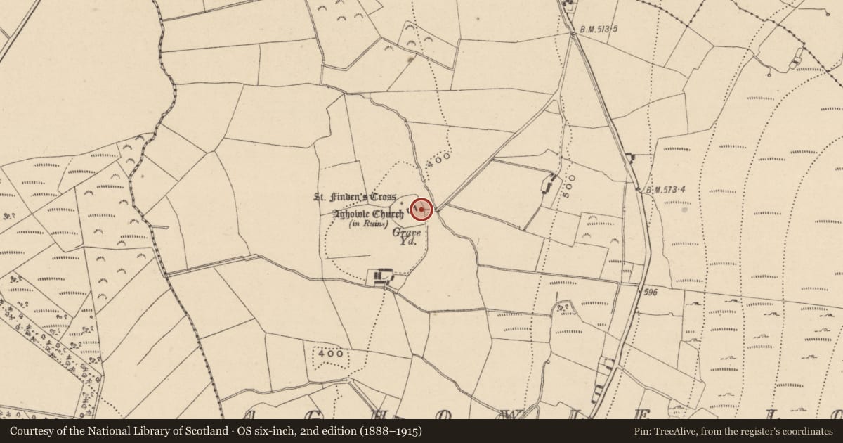 Ordnance Survey six-inch map, 2nd edition (1888–1915) covering the location of Cross, Aghowle Lower, County Wicklow, with a pin at the register's coordinates