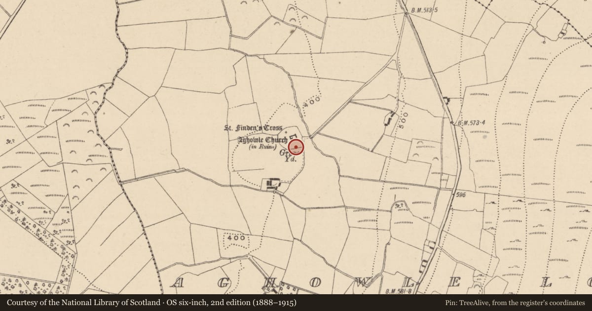 Ordnance Survey six-inch map, 2nd edition (1888–1915) covering the location of Cross, Aghowle Lower, County Wicklow, with a pin at the register's coordinates