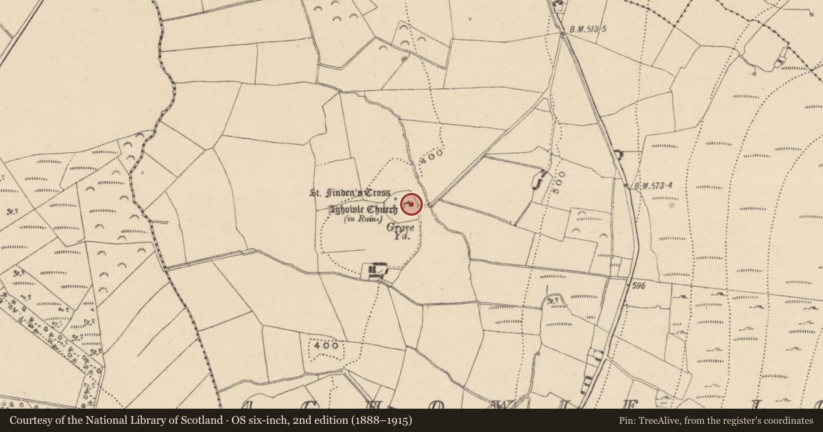 Ordnance Survey six-inch map, 2nd edition (1888–1915) covering the location of Cross-slab, Aghowle Lower, County Wicklow, with a pin at the register's coordinates