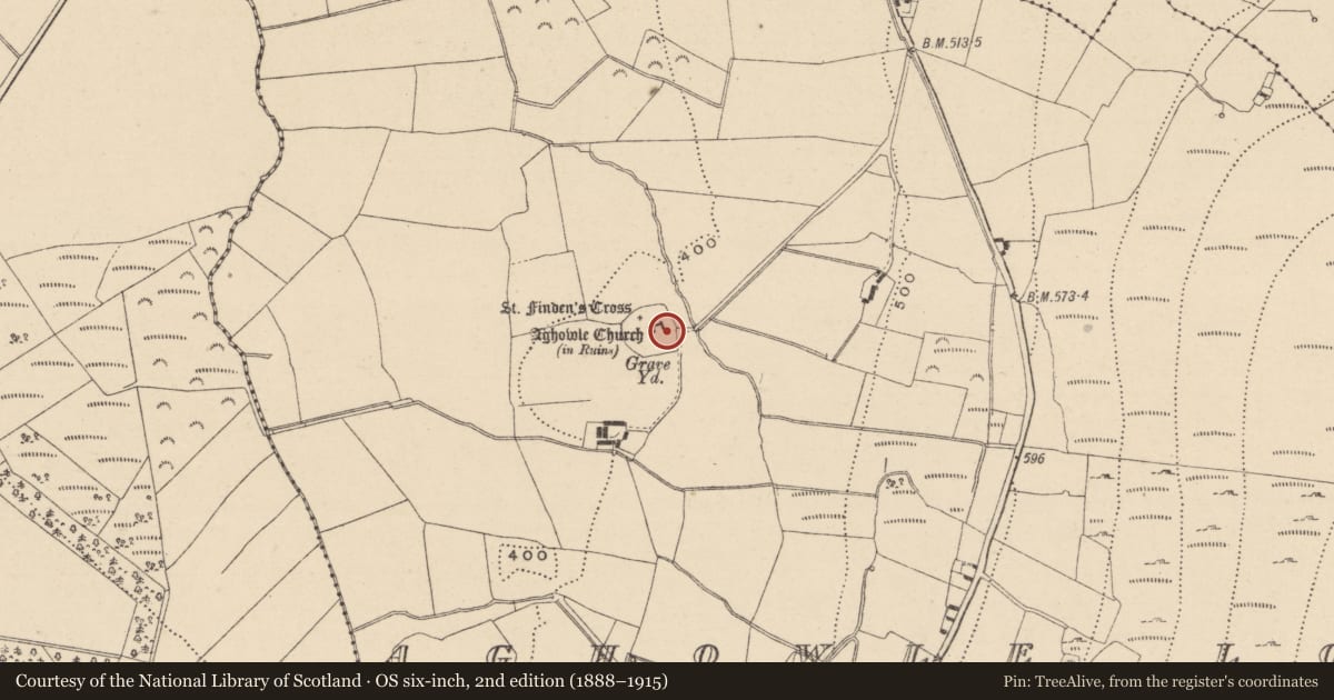 Ordnance Survey six-inch map, 2nd edition (1888–1915) covering the location of Cross-slab, Aghowle Lower, County Wicklow, with a pin at the register's coordinates