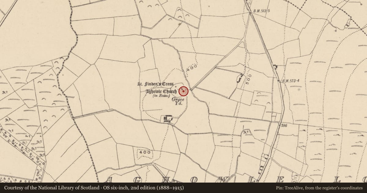 Ordnance Survey six-inch map, 2nd edition (1888–1915) covering the location of Cross-slab, Aghowle Lower, County Wicklow, with a pin at the register's coordinates