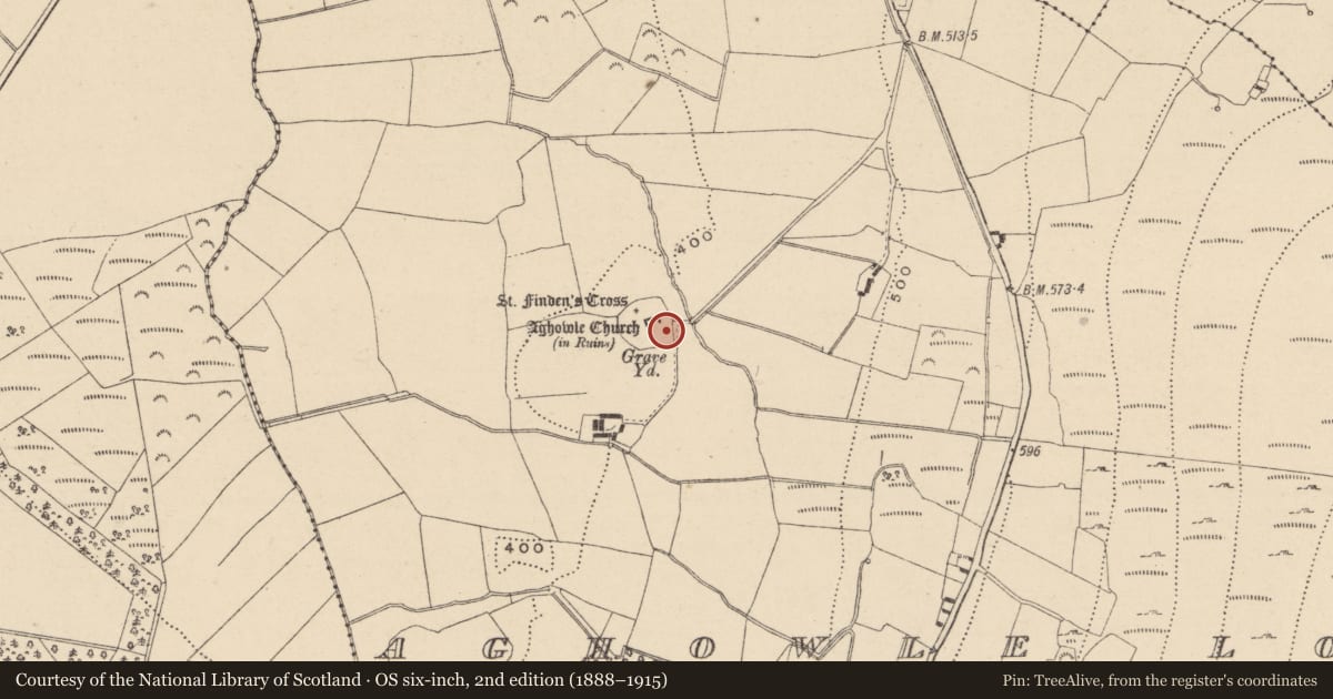 Ordnance Survey six-inch map, 2nd edition (1888–1915) covering the location of Cross-slab, Aghowle Lower, County Wicklow, with a pin at the register's coordinates