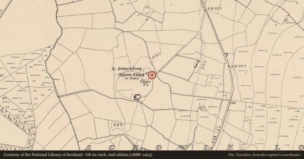Ordnance Survey six-inch map, 2nd edition (1888–1915) covering the location of Cross-slab, Aghowle Lower, County Wicklow, with a pin at the register's coordinates