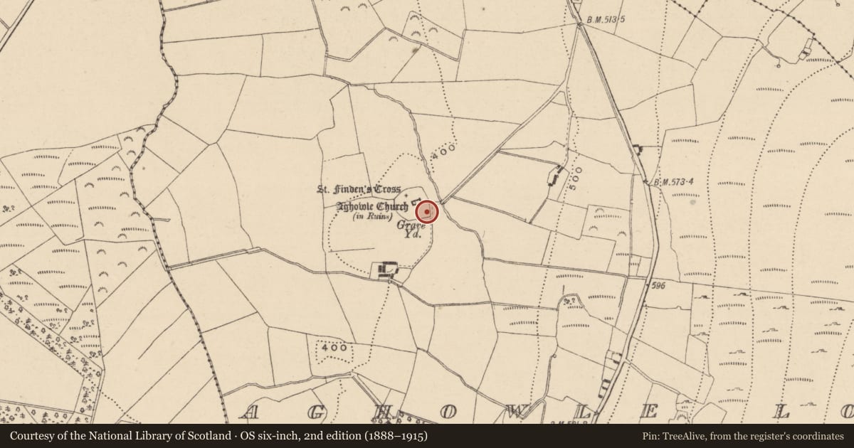 Ordnance Survey six-inch map, 2nd edition (1888–1915) covering the location of Cross-slab, Aghowle Lower, County Wicklow, with a pin at the register's coordinates