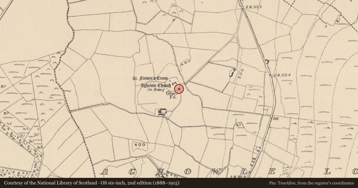 Ordnance Survey six-inch map, 2nd edition (1888–1915) covering the location of Cross-slab, Aghowle Lower, County Wicklow, with a pin at the register's coordinates