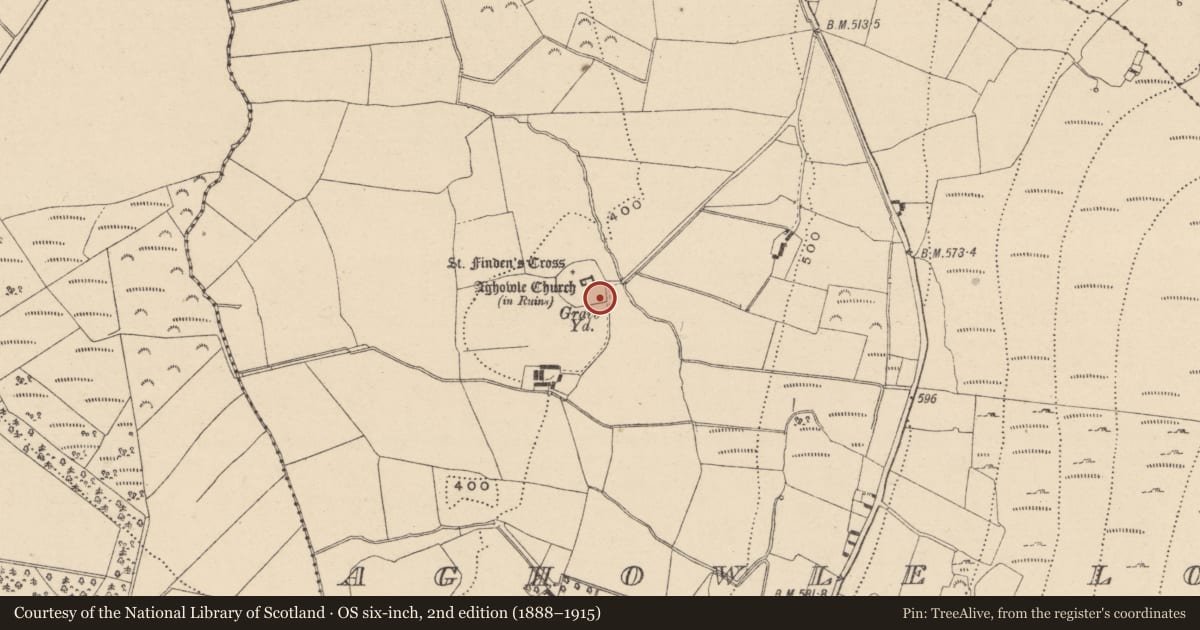 Ordnance Survey six-inch map, 2nd edition (1888–1915) covering the location of Cross-slab, Aghowle Lower, County Wicklow, with a pin at the register's coordinates