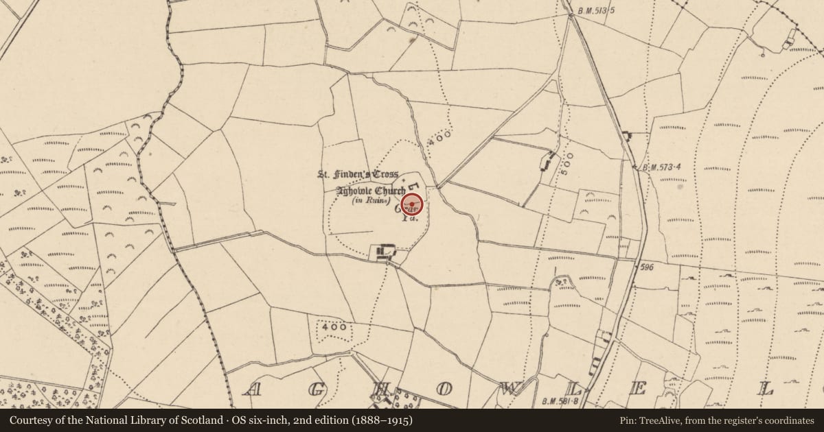 Ordnance Survey six-inch map, 2nd edition (1888–1915) covering the location of Cross-slab, Aghowle Lower, County Wicklow, with a pin at the register's coordinates