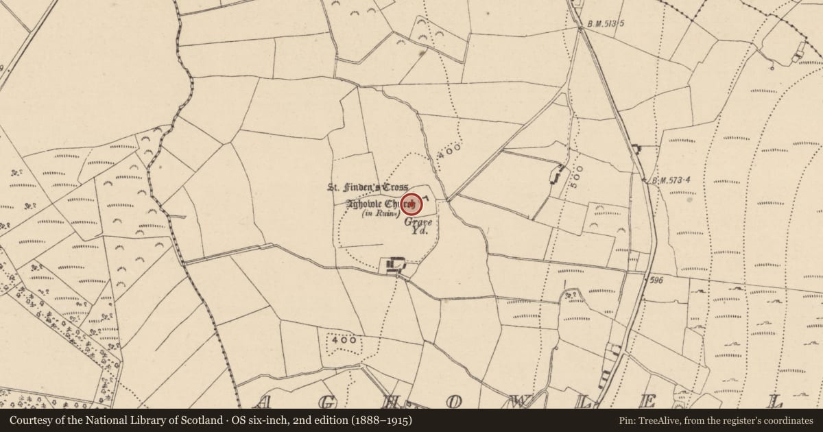 Ordnance Survey six-inch map, 2nd edition (1888–1915) covering the location of Cross-slab, Aghowle Lower, County Wicklow, with a pin at the register's coordinates