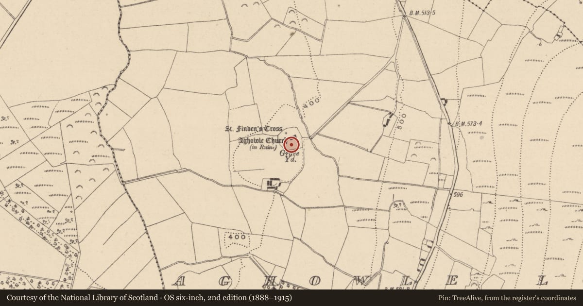 Ordnance Survey six-inch map, 2nd edition (1888–1915) covering the location of Cross-slab, Aghowle Lower, County Wicklow, with a pin at the register's coordinates