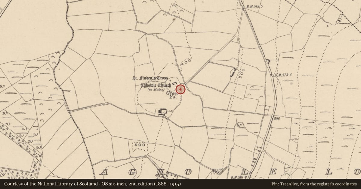 Ordnance Survey six-inch map, 2nd edition (1888–1915) covering the location of Cross-slab, Aghowle Lower, County Wicklow, with a pin at the register's coordinates