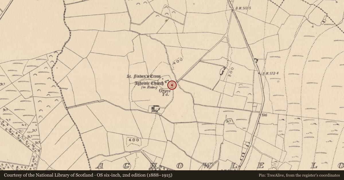 Ordnance Survey six-inch map, 2nd edition (1888–1915) covering the location of Cross-slab, Aghowle Lower, County Wicklow, with a pin at the register's coordinates