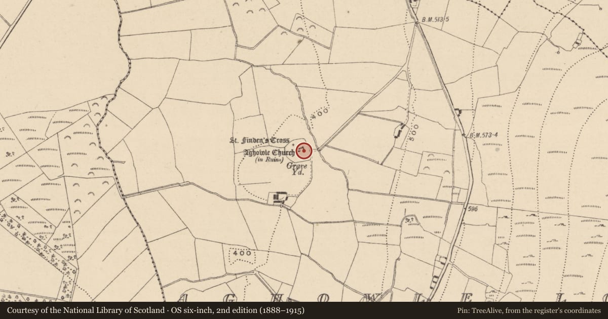 Ordnance Survey six-inch map, 2nd edition (1888–1915) covering the location of Cross-slab, Aghowle Lower, County Wicklow, with a pin at the register's coordinates