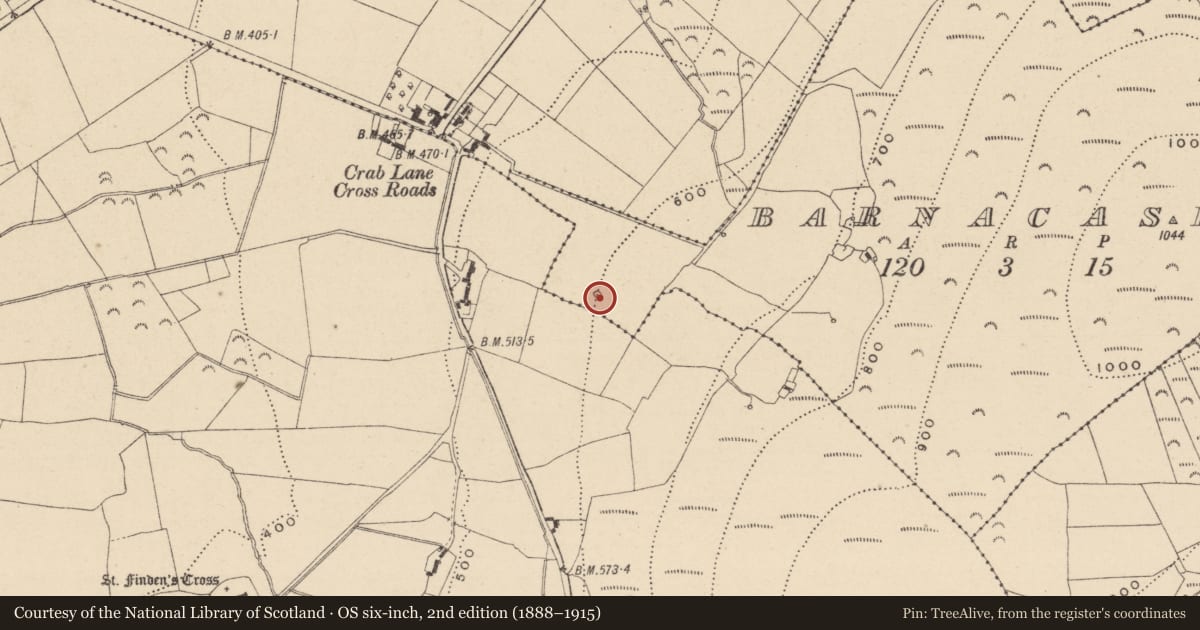 Ordnance Survey six-inch map, 2nd edition (1888–1915) covering the location of Mound, Barnacashel, County Wicklow, with a pin at the register's coordinates
