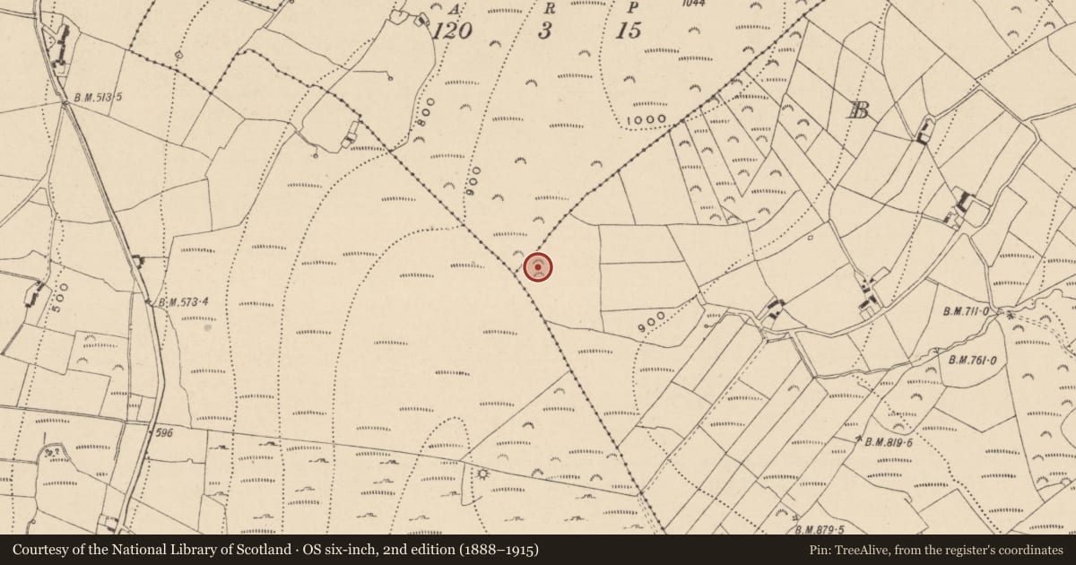 Ordnance Survey six-inch map, 2nd edition (1888–1915) covering the location of Enclosure, Boley, County Wicklow, with a pin at the register's coordinates