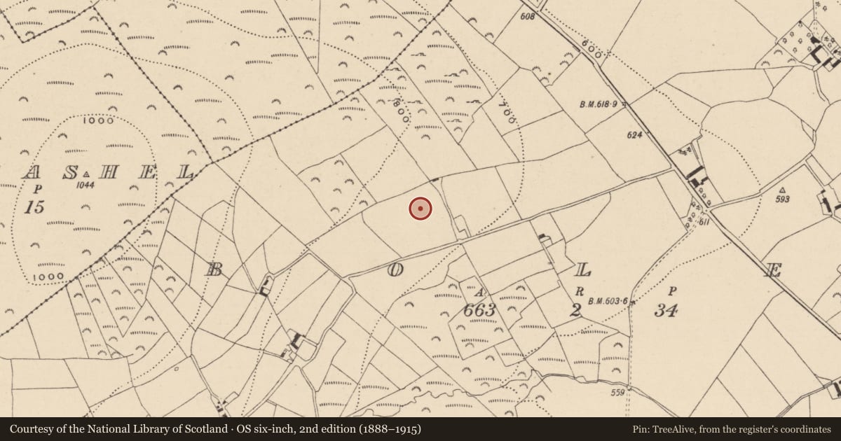 Ordnance Survey six-inch map, 2nd edition (1888–1915) covering the location of Enclosure, Boley, County Wicklow, with a pin at the register's coordinates