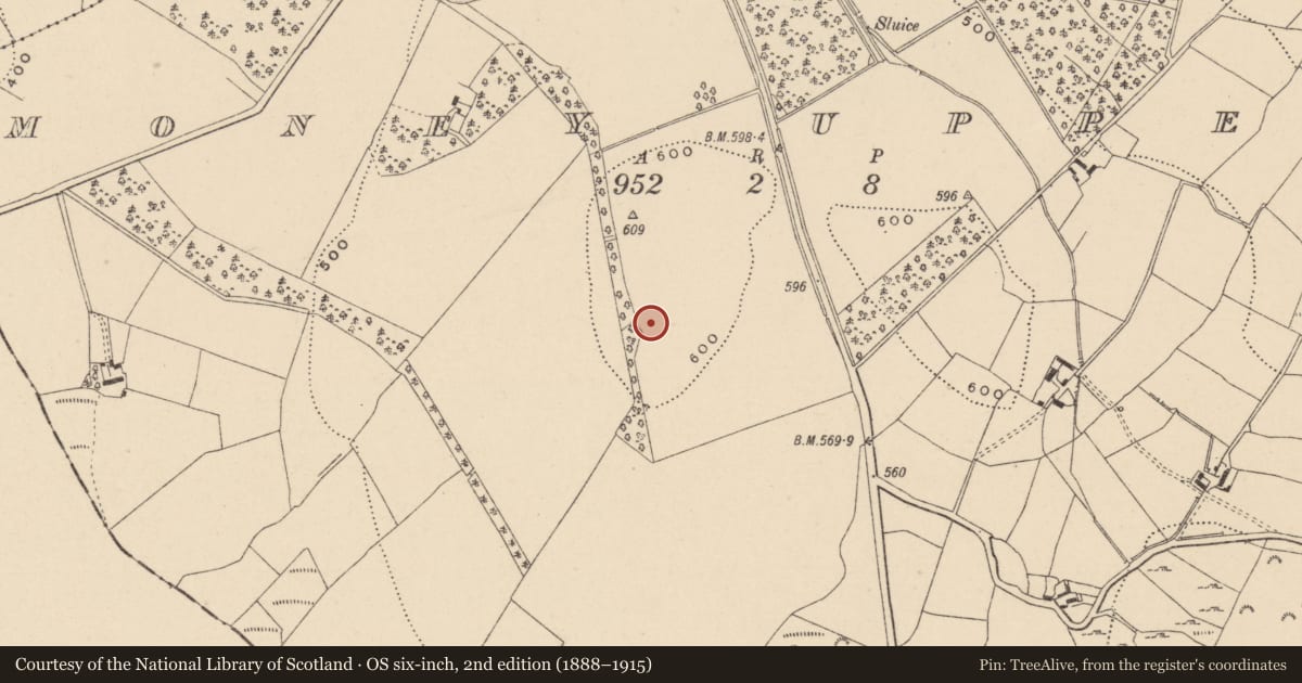 Ordnance Survey six-inch map, 2nd edition (1888–1915) covering the location of Enclosure, Money Upper, County Wicklow, with a pin at the register's coordinates