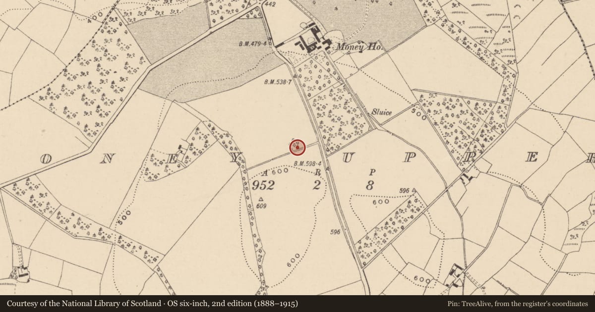 Ordnance Survey six-inch map, 2nd edition (1888–1915) covering the location of Mound, Money Upper, County Wicklow, with a pin at the register's coordinates