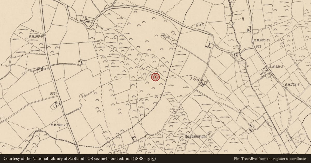 Ordnance Survey six-inch map, 2nd edition (1888–1915) covering the location of Enclosure, Money Upper, County Wicklow, with a pin at the register's coordinates