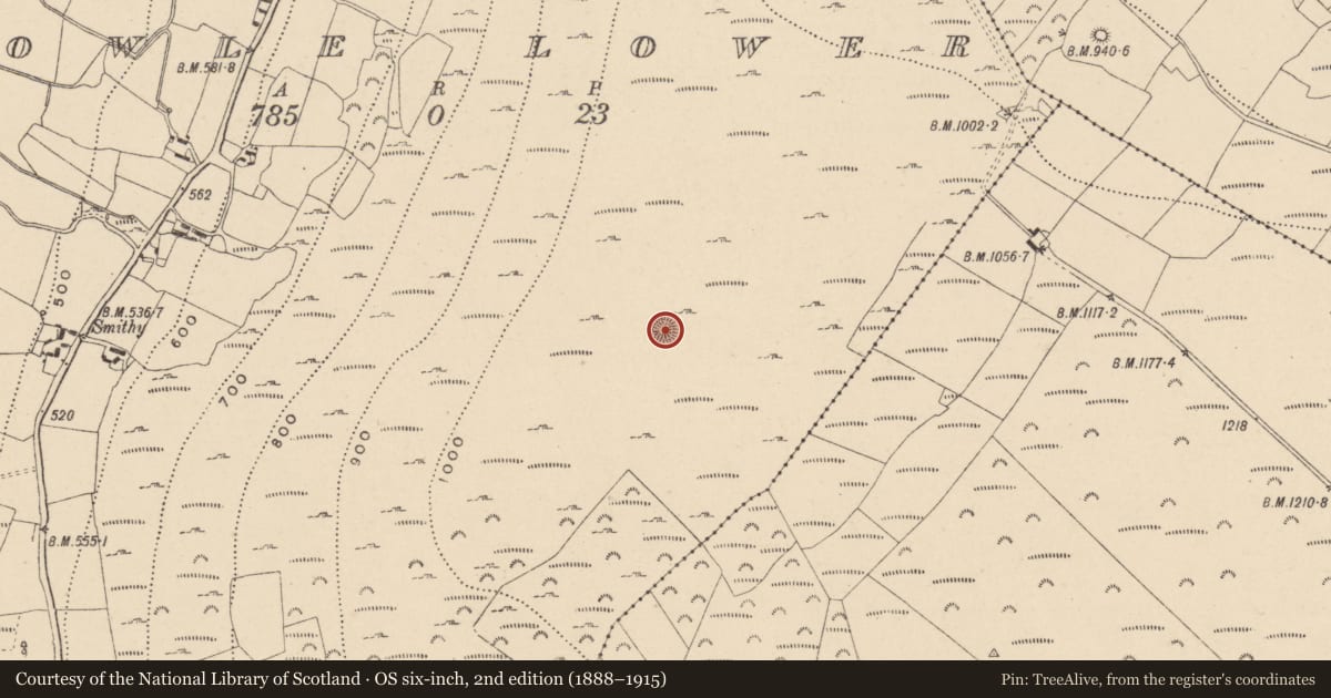 Ordnance Survey six-inch map, 2nd edition (1888–1915) covering the location of Ringfort - cashel, Aghowle Lower, County Wicklow, with a pin at the register's coordinates