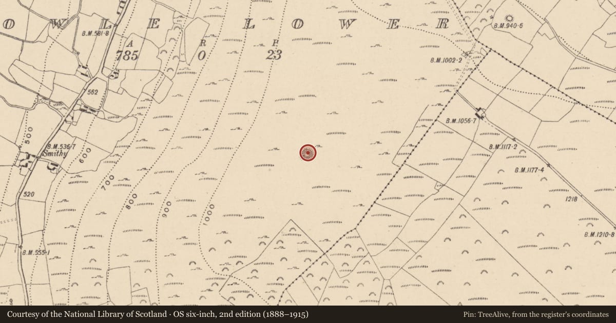 Ordnance Survey six-inch map, 2nd edition (1888–1915) covering the location of Hut site, Aghowle Lower, County Wicklow, with a pin at the register's coordinates