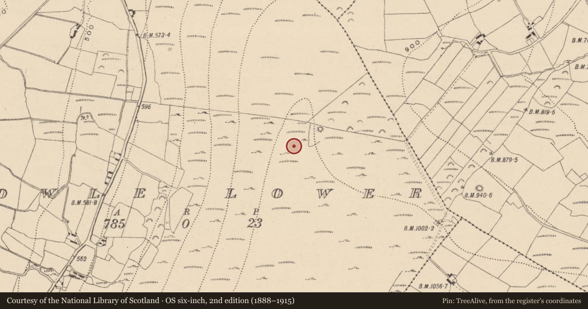 Ordnance Survey six-inch map, 2nd edition (1888–1915) covering the location of Cairnfield, Aghowle Lower, County Wicklow, with a pin at the register's coordinates