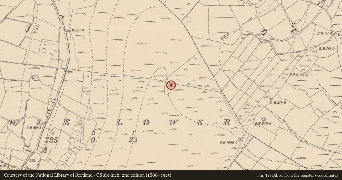 Ordnance Survey six-inch map, 2nd edition (1888–1915) covering the location of Enclosure, Aghowle Lower, County Wicklow, with a pin at the register's coordinates