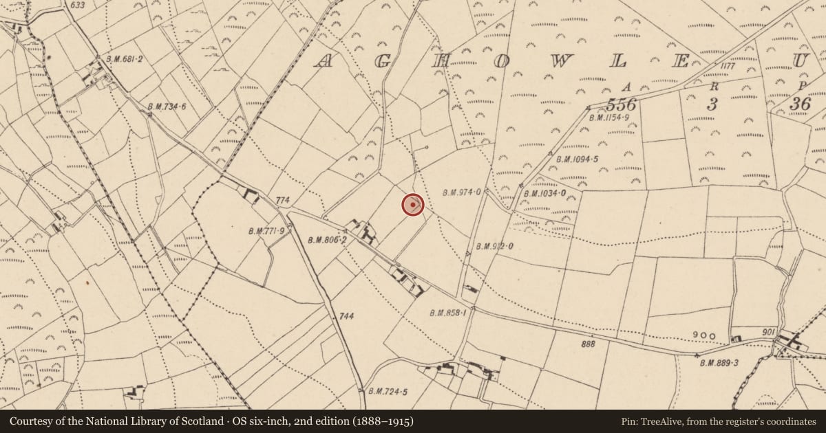 Ordnance Survey six-inch map, 2nd edition (1888–1915) covering the location of Ringfort - rath, Aghowle Upper, County Wicklow, with a pin at the register's coordinates