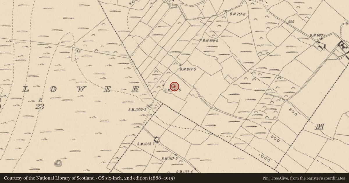 Ordnance Survey six-inch map, 2nd edition (1888–1915) covering the location of Enclosure, Boley, County Wicklow, with a pin at the register's coordinates