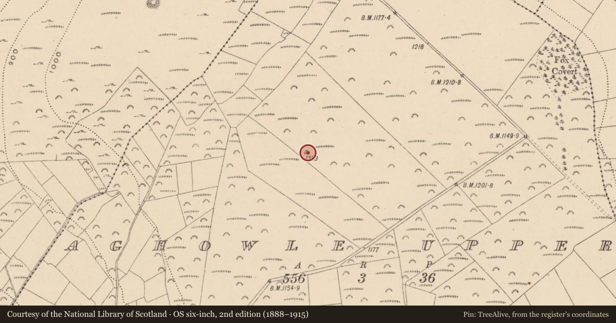 Ordnance Survey six-inch map, 2nd edition (1888–1915) covering the location of Cairn - unclassified, Aghowle Upper, County Wicklow, with a pin at the register's coordinates