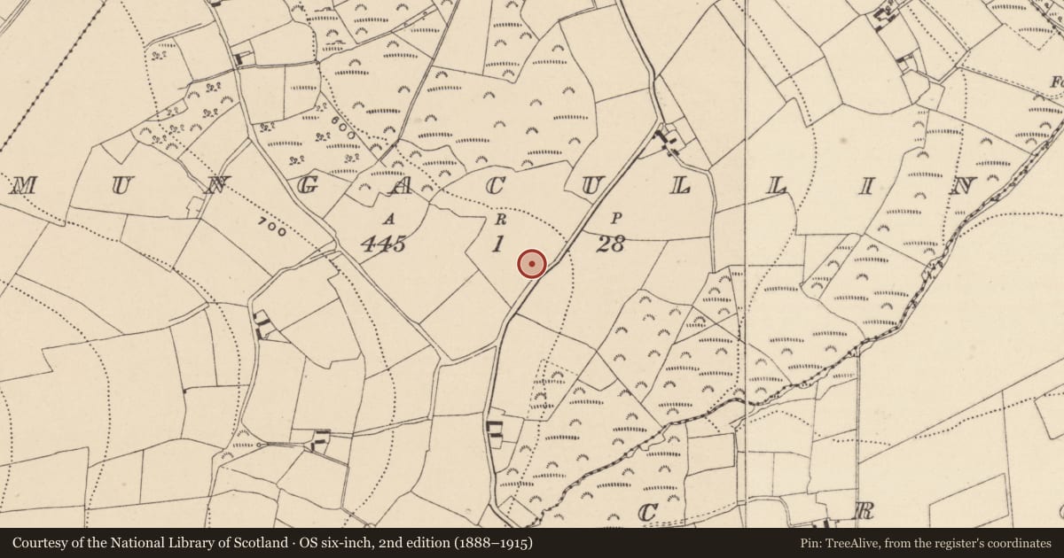 Ordnance Survey six-inch map, 2nd edition (1888–1915) covering the location of Enclosure, Mungacullin, County Wicklow, with a pin at the register's coordinates