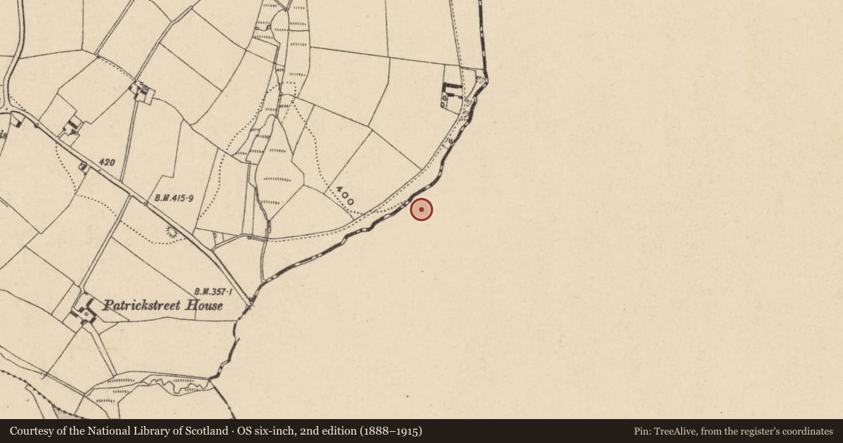 Ordnance Survey six-inch map, 2nd edition (1888–1915) covering the location of Enclosure, Ballynavortha, County Wicklow, with a pin at the register's coordinates