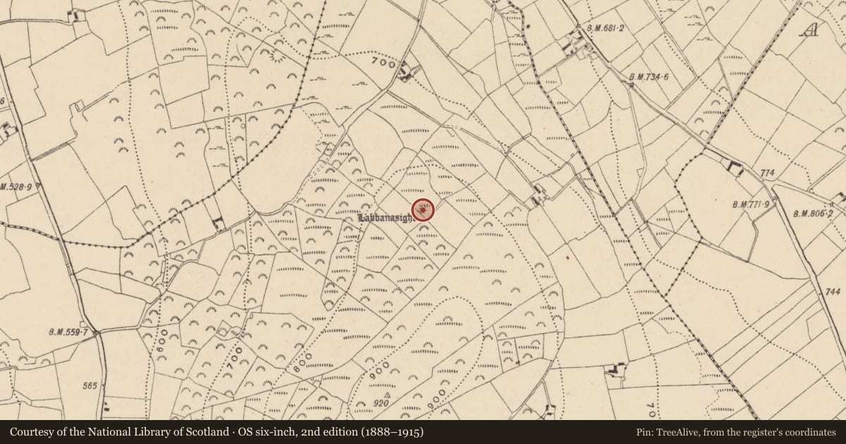 Ordnance Survey six-inch map, 2nd edition (1888–1915) covering the location of Megalithic tomb - wedge tomb, Moylisha, County Wicklow, with a pin at the register's coordinates